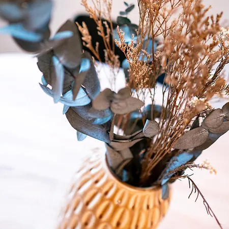 Design-ferienwohnung Ahrweiler Wifi Parken Zentral Neu *